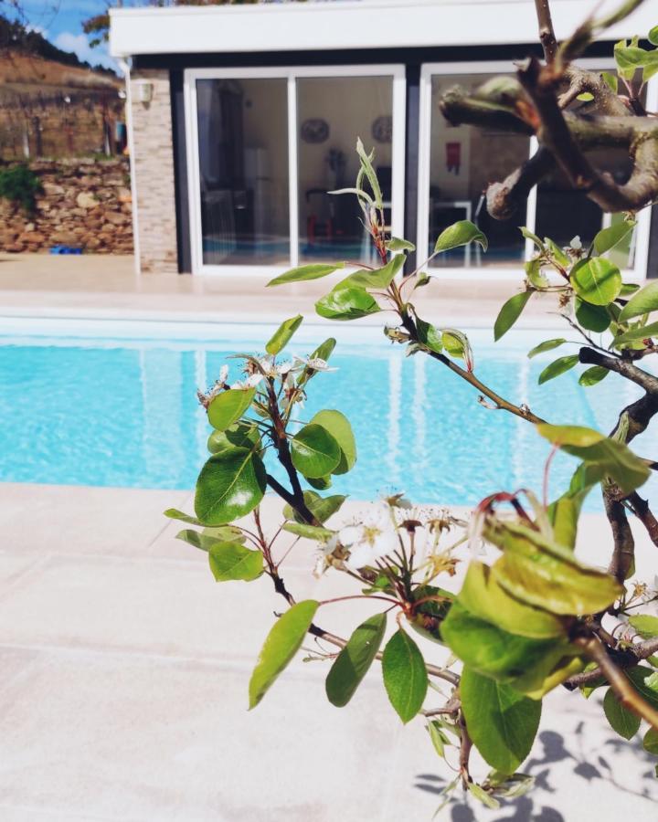 Villa D'Uvale Douro Alijó Zewnętrze zdjęcie